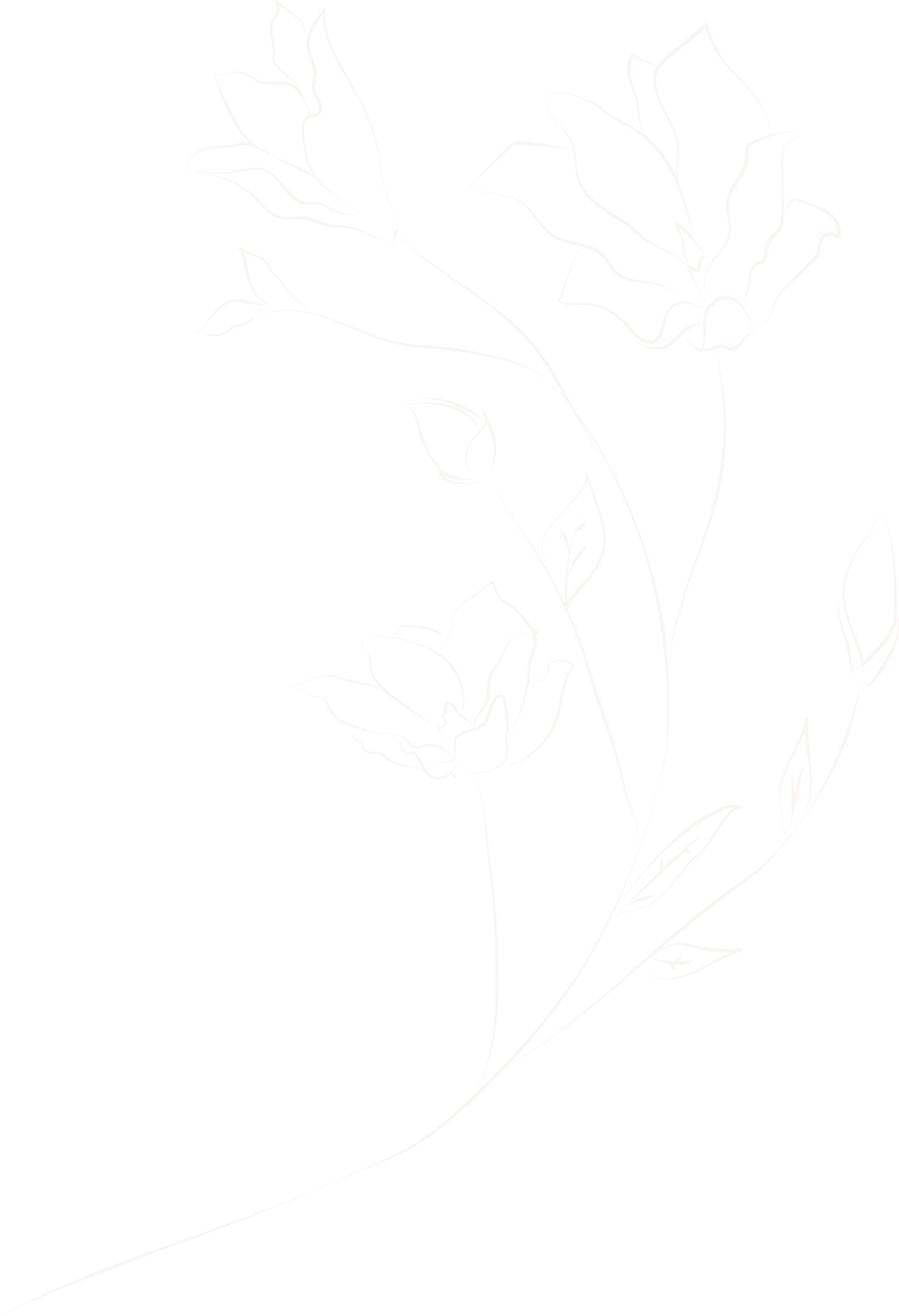 3 1