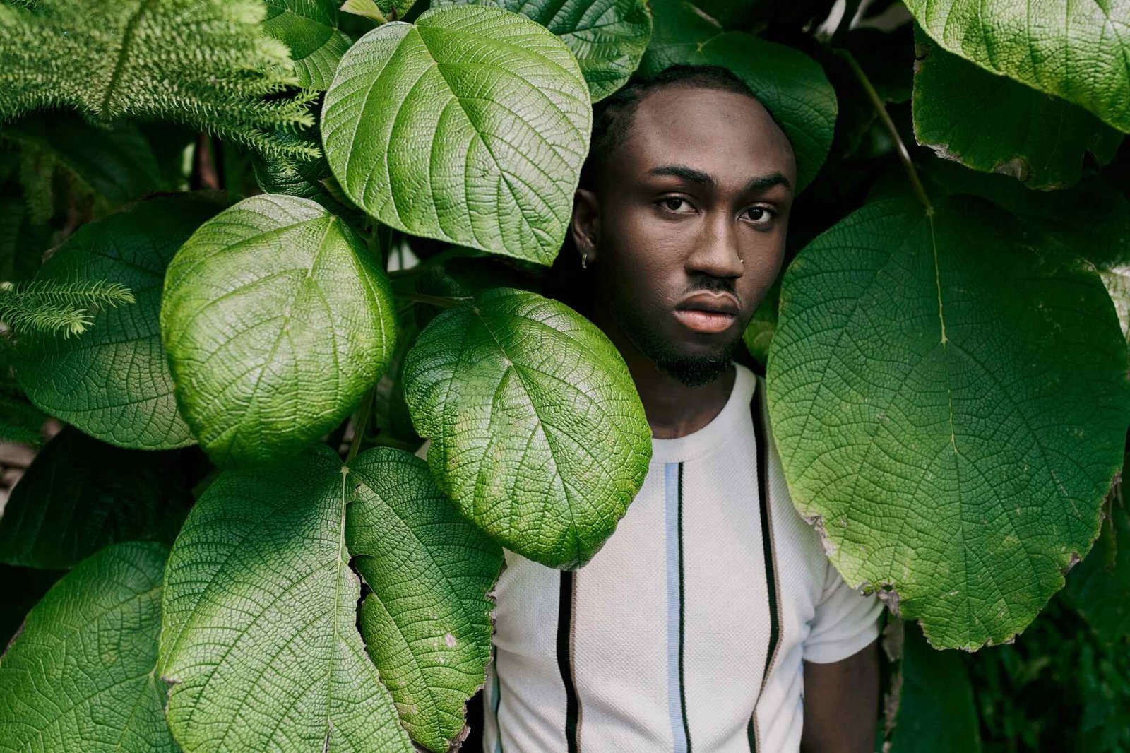 Dapper Man Amongst Lush Foliage 2024 11 09 08 36 09 UtcResized